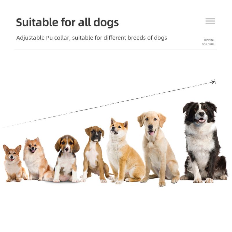 Nový výcvikový obojok s vodotesným dizajnom nastaviteľné tréningové režimy vibrácie šok pre efektívny tréning