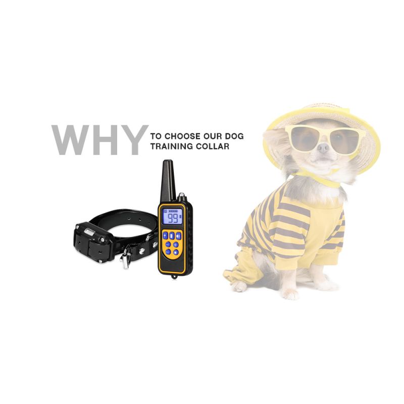 Elektrický psie tréningový golier 800m vodotesný nabíjateľný s diaľkovým ovládaním LCD displejom pre všetky veľkosti