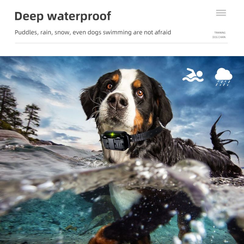 Nový výcvikový obojok s vodotesným dizajnom nastaviteľné tréningové režimy vibrácie šok pre efektívny tréning