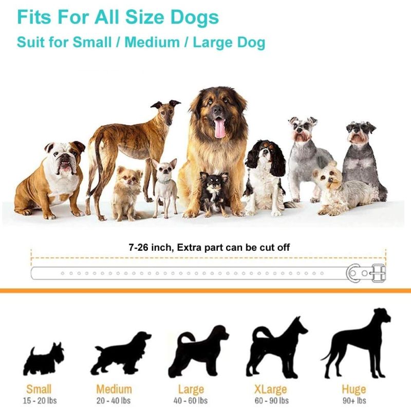 Efektívny výcvik psov s elektronickým obojkom pre malých a stredne veľkých psov s nastaviteľnými tréningovými režimami