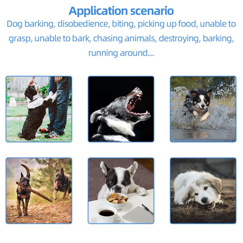 Inovatívny elektrický výcvikový obojok pre psov 2021 vodotesný nabíjateľný 500m diaľkové ovládanie LCD displej