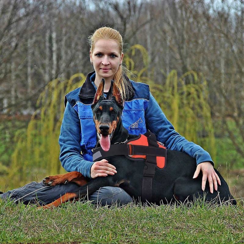 Bez-tah reflexná vesta pre psa s rukoväťou nastaviteľný postroj pre stredného psa pohodlná prechádzka psa