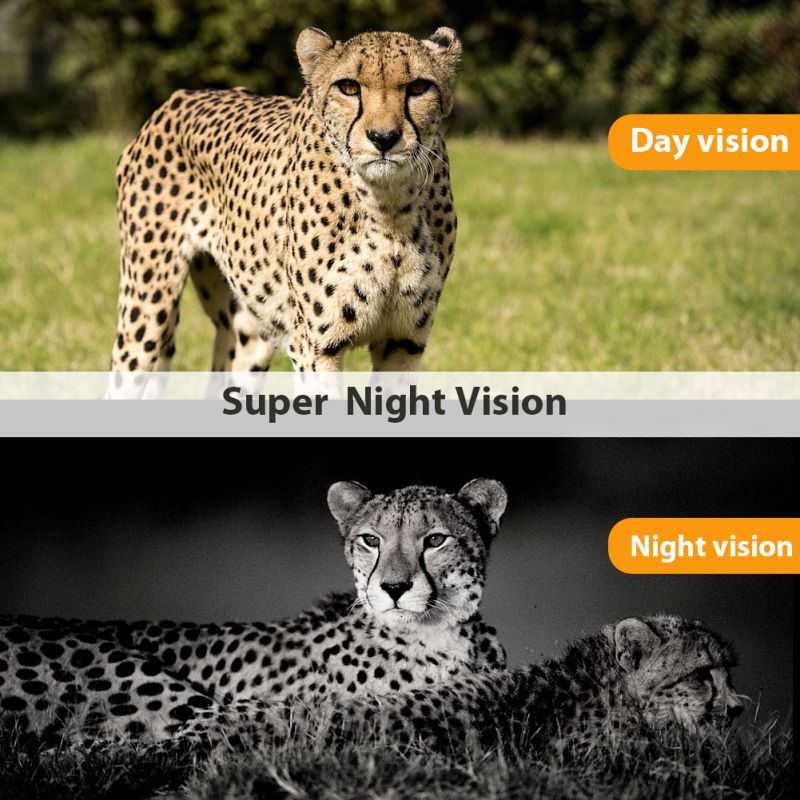 HC801M mobilná lovecká kamera 20MP 1080P infračervené nočné videnie na sledovanie zvierat a wildlife fotografovanie