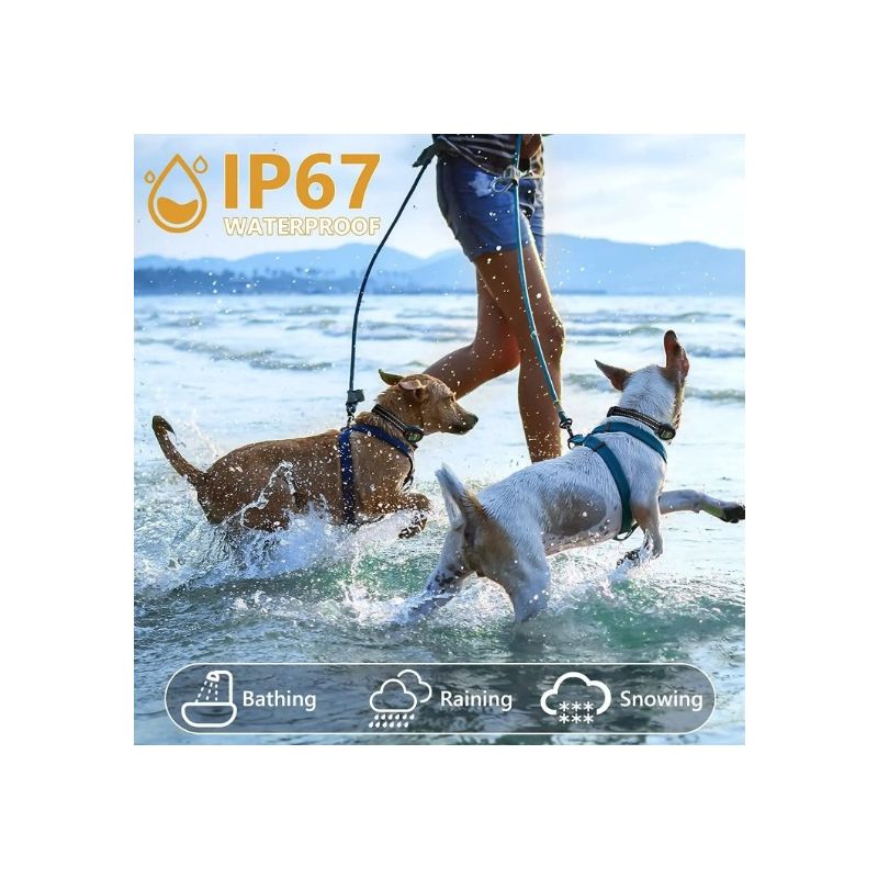 Inteligentný dobíjací obojok pre psy s algoritmom a PowerMax technológiou riešenie pre tiché prostredie