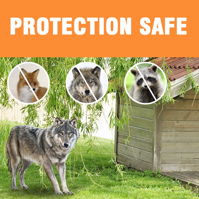 Automatizácia kurníka vodotesné dvierka s časovačom bezpečné a odolné riešenia pre chov na záhrade