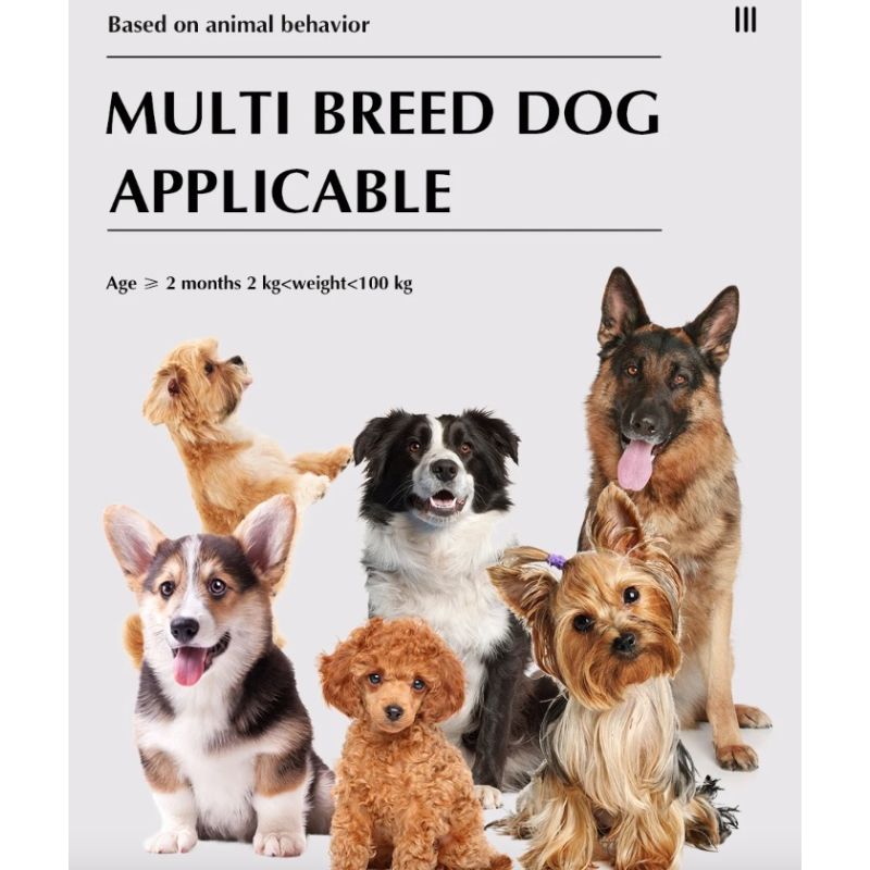 Bezdrôtový plot pre psov a diaľkový výcvikový obojok 2-v-1 Výcvik a ochrana domáceho maznáčika pre všetky veľkosti