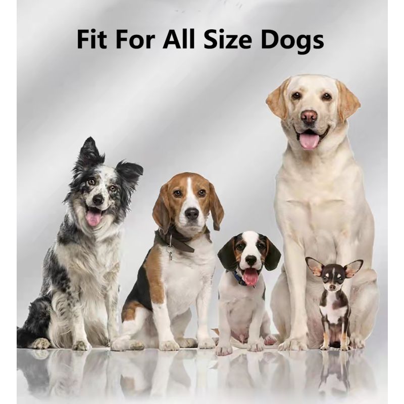 Inovatívny GPS bezdrôtový ohradník pre psov s dosahom 3280 stôp jednoduchá inštalácia pre bezpečnosť zvierat