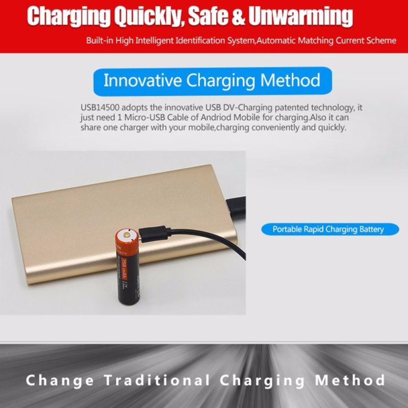 DoublePow 14500 750mAh ekologická batéria s LED indikátorom Micro USB nabíjateľná 3.7V Li-ion batéria na kempovanie