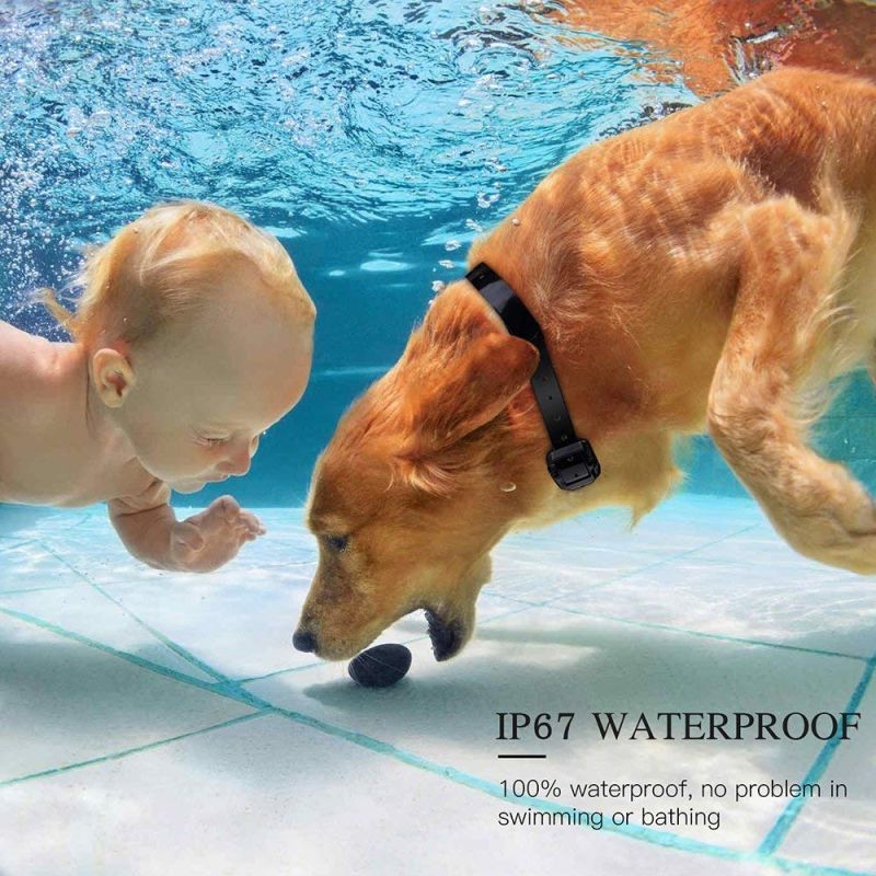 Objavte 800m Elektrický Výcvikový Obojok pre Všetky Veľkosti Psov Vodotesný Diaľkovo Ovládaný s LCD Displejom