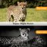 HC801M mobilná lovecká kamera 20MP 1080P infračervené nočné videnie na sledovanie zvierat a wildlife fotografovanie