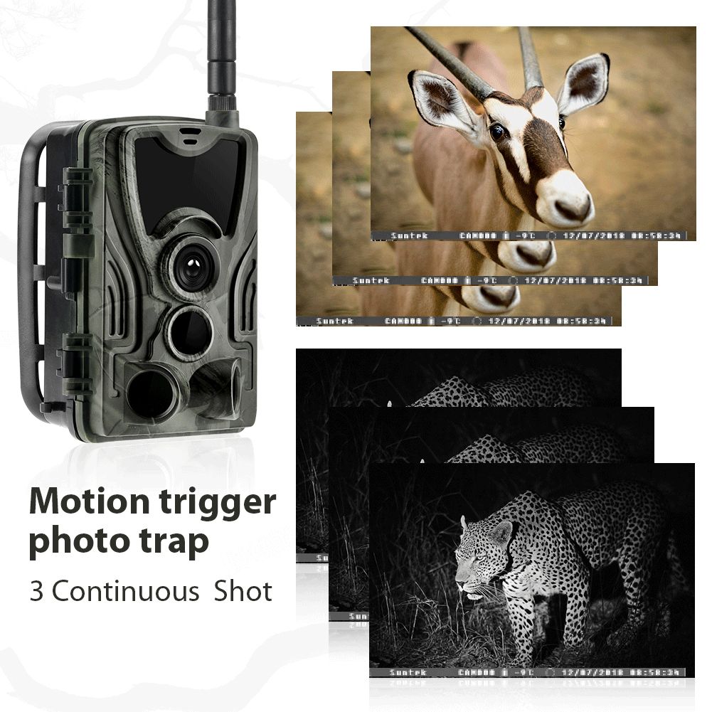HC801M Fotopasca 20MP 1080P Nočné videnie, ideálna pre fotografovanie divokej zveri a sledovanie zvierat.