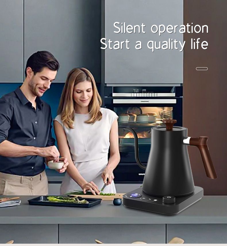 Elektrická rýchlovarná kanvica s reguláciou teploty v reálnom čase a elegantnou gooseneck pipkou 1200W