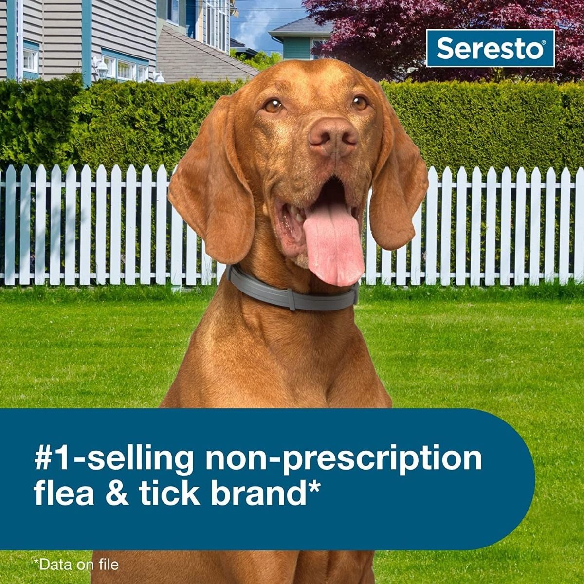 Seresto obojok pre veľké psy, odporúčaný veterinárom, na liečbu a prevenciu proti blchám a kliešťom, 8-mesačná ochrana